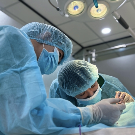 Nguyên nhân và cách điều trị phẫu thuật trật xương bánh chè ở chó