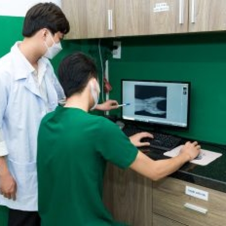 Nguyên nhân và cách điều trị phẫu thuật trật xương bánh chè ở chó