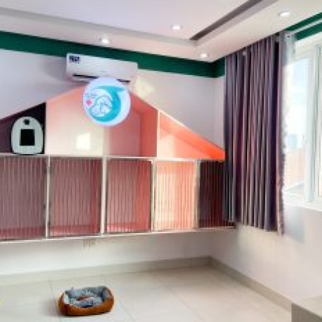 Lưu chuồng chó mèo: Dịch vụ trông giữ và chăm sóc thú cưng từ A đến Z