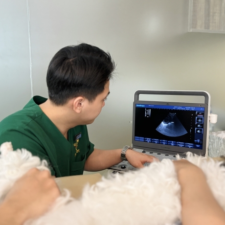 Tổng hợp 6 loại xét nghiệm máu cho thú cưng bạn nên biết 