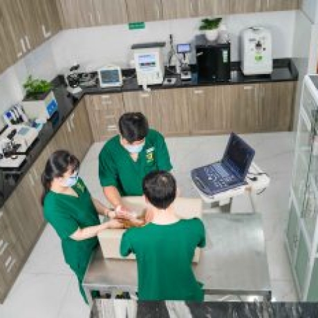 Dịch vụ Siêu âm Chụp X-quang cho thú cưng tại TP. HCM là uy tín