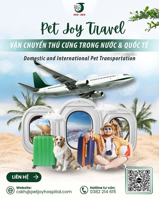 Dịch vụ vận chuyển chó mèo quốc tế