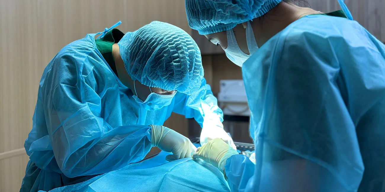 Hướng dẫn triệt sản chó mèo an toàn và chăm sóc sau phẫu thuật