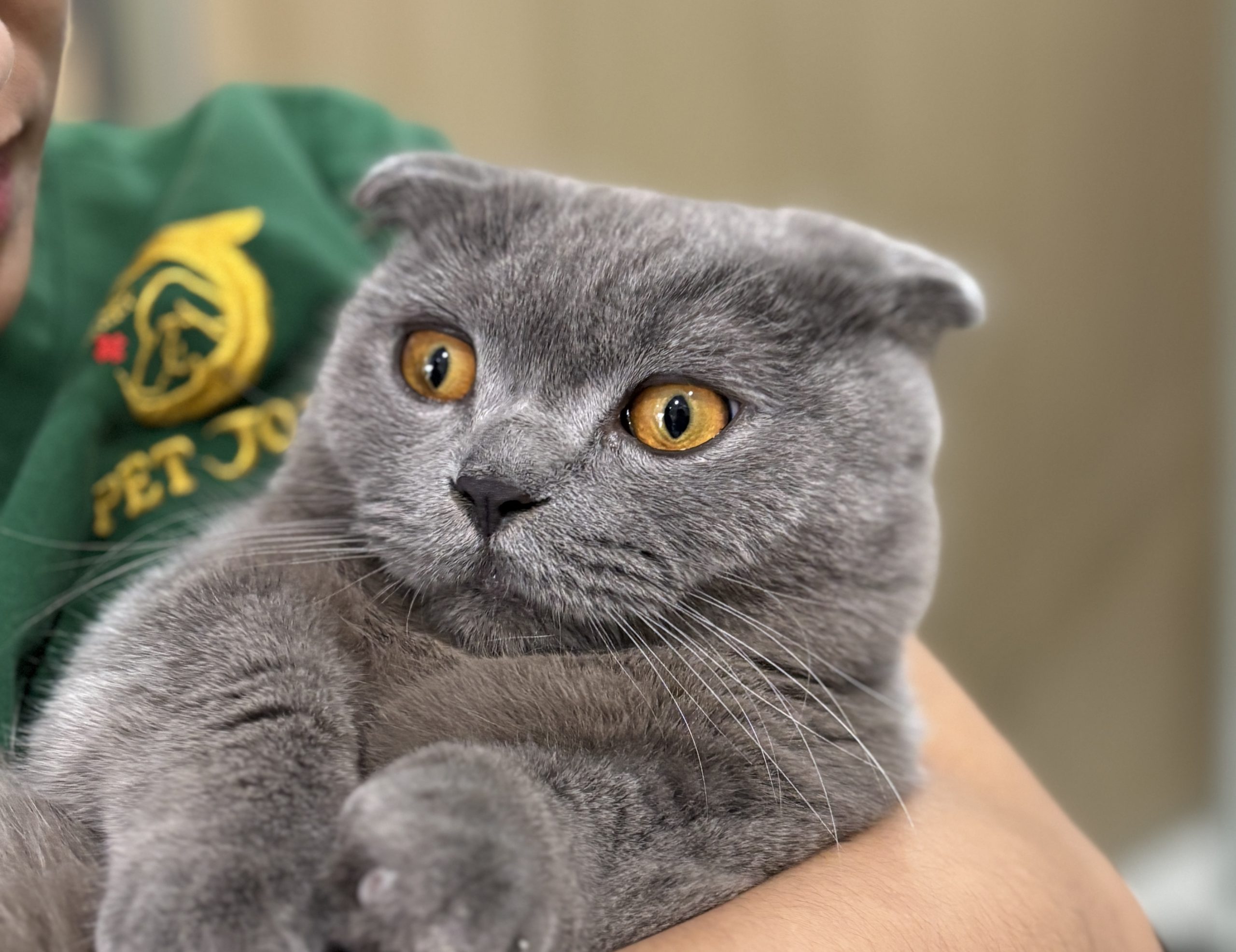 BỆNH VIỆN THÚ Y PET JOY - TRUNG TÂM CHĂM SÓC THÚ CƯNG UY TÍN TẠI TP. HỒ CHÍ MINH