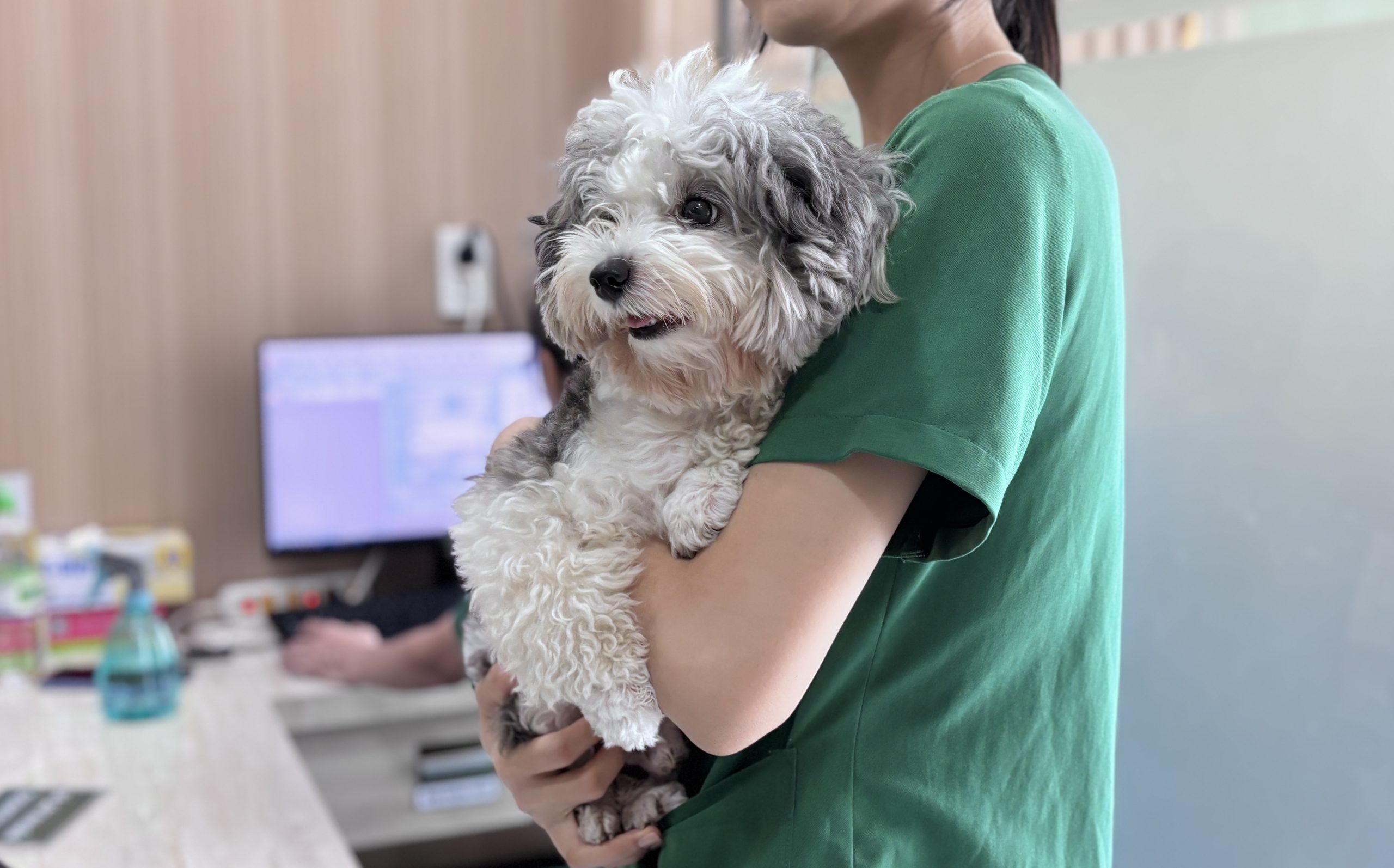 PET JOY VETERINARY HOSPITAL - A REPUTABLE PET CARE CENTER IN HO CHI MINH CITY