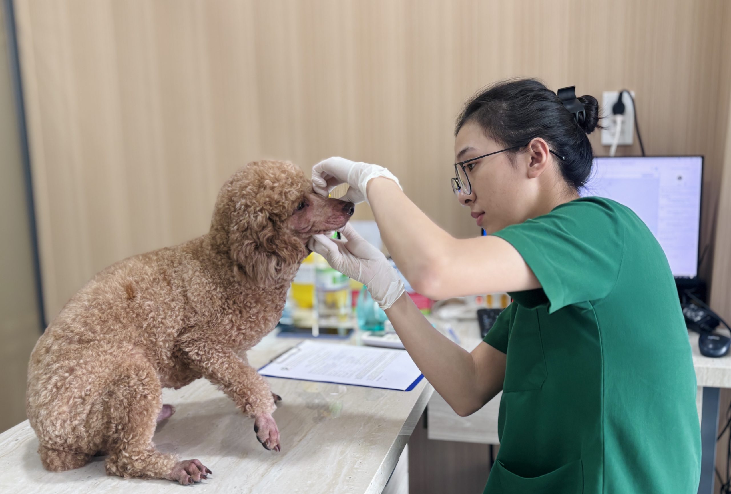 BỆNH VIỆN THÚ Y PET JOY - TRUNG TÂM CHĂM SÓC THÚ CƯNG UY TÍN TẠI TP. HỒ CHÍ MINH