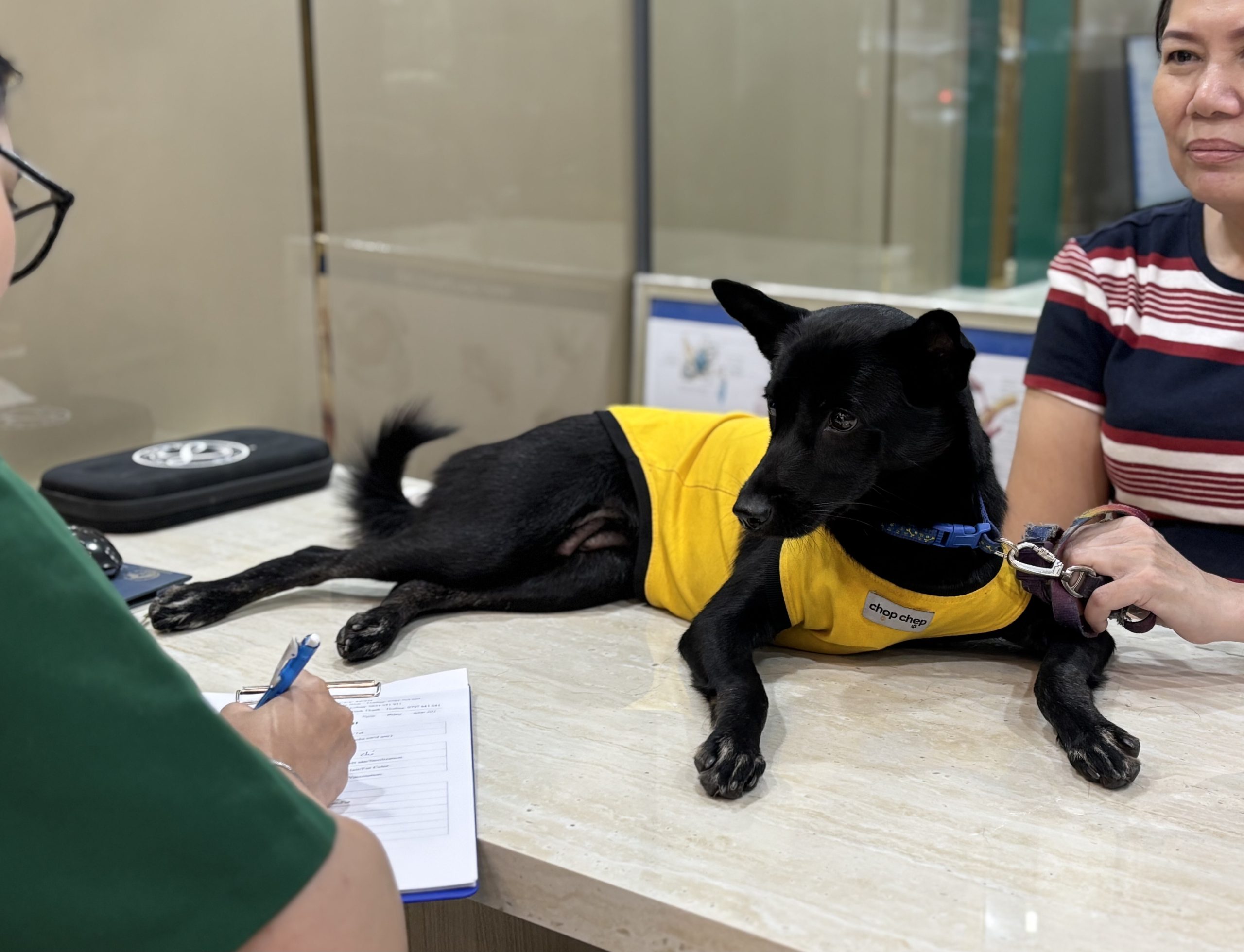 BỆNH VIỆN THÚ Y PET JOY - TRUNG TÂM CHĂM SÓC THÚ CƯNG UY TÍN TẠI TP. HỒ CHÍ MINH