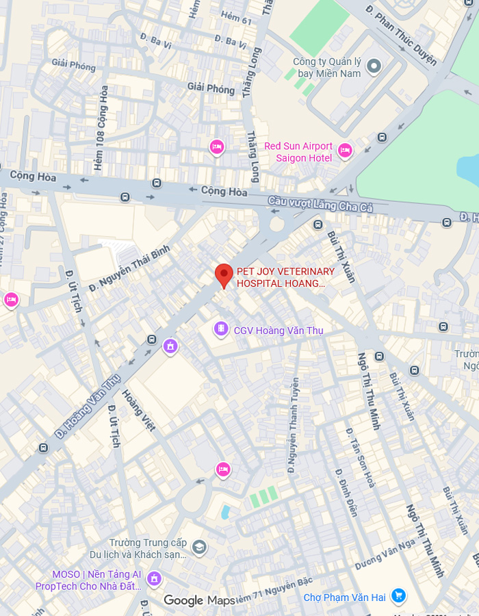Map of Tan Son Hoa Ward Branch