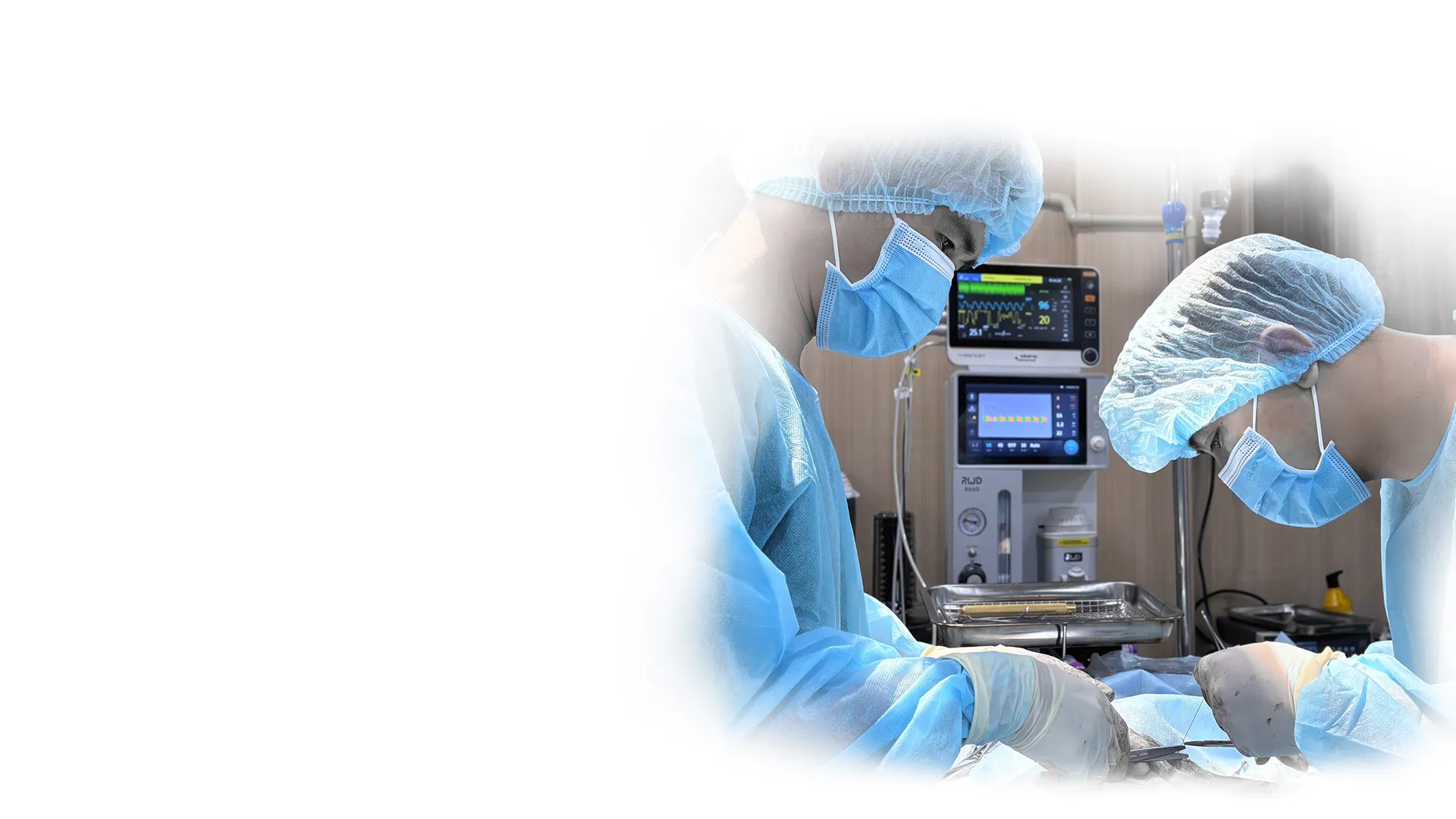 banner-image