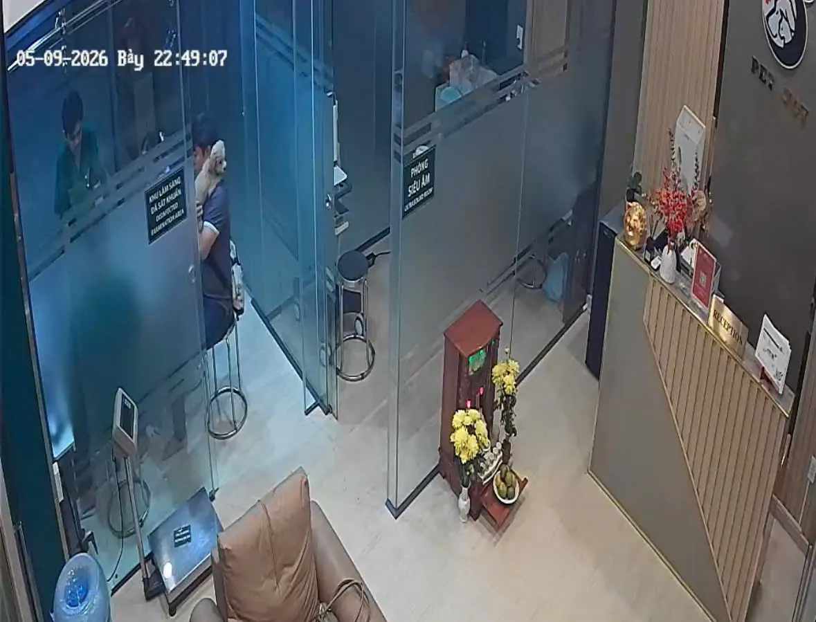 BỆNH VIỆN THÚ Y PET JOY - TRUNG TÂM CHĂM SÓC THÚ CƯNG UY TÍN TẠI TP.HCM