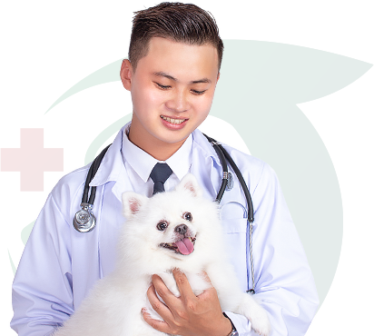 dr