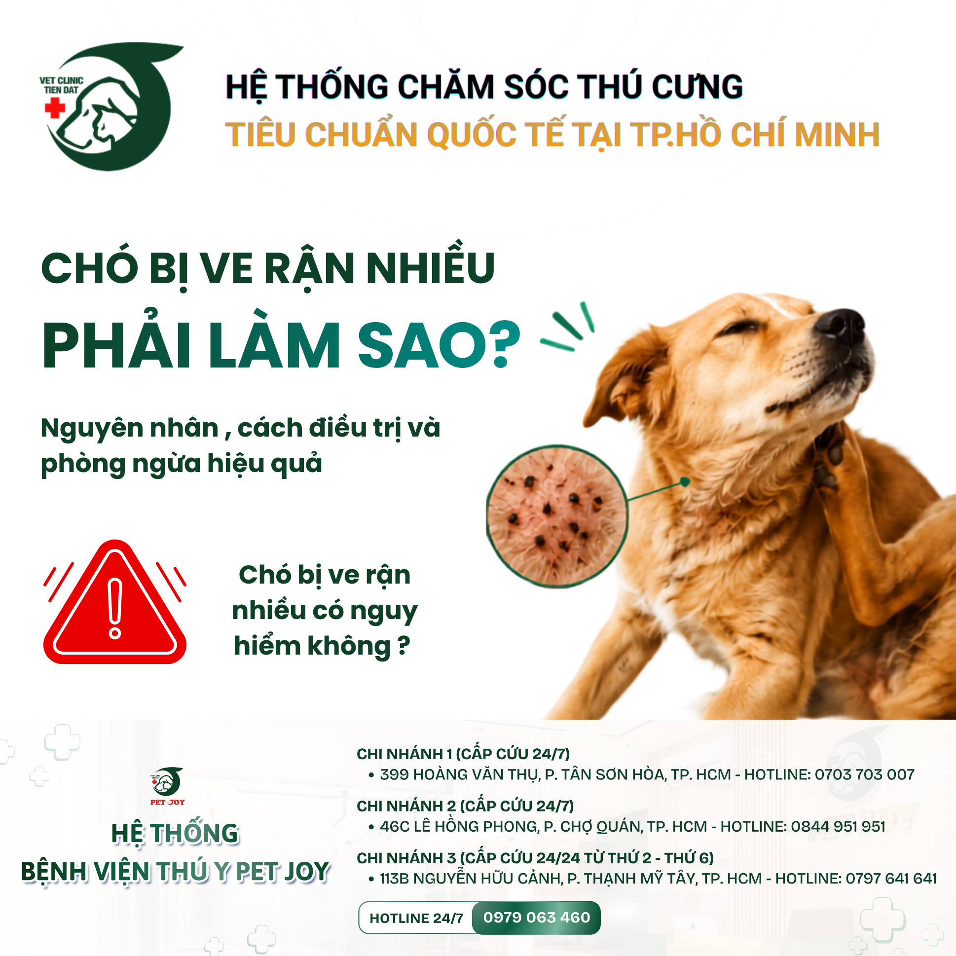 BỆNH VIỆN THÚ Y PET JOY - TRUNG TÂM CHĂM SÓC THÚ CƯNG UY TÍN TẠI TP.HCM