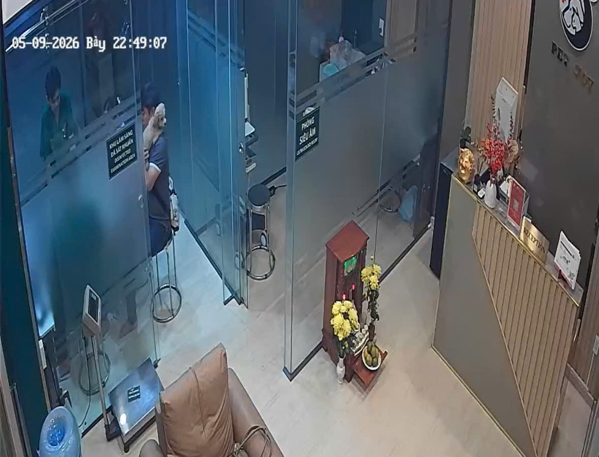 BỆNH VIỆN THÚ Y PET JOY - TRUNG TÂM CHĂM SÓC THÚ CƯNG UY TÍN TẠI TP.HCM